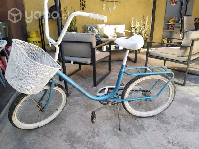 Bicicleta con canasto