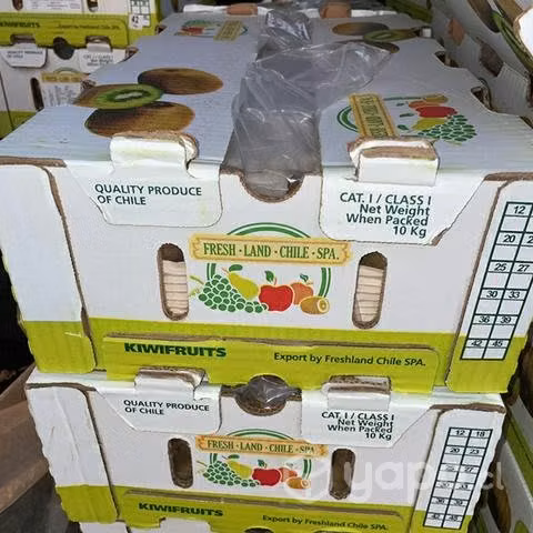 Kiwis calidad exportación