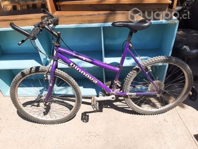 Bicicleta mujer aro 26