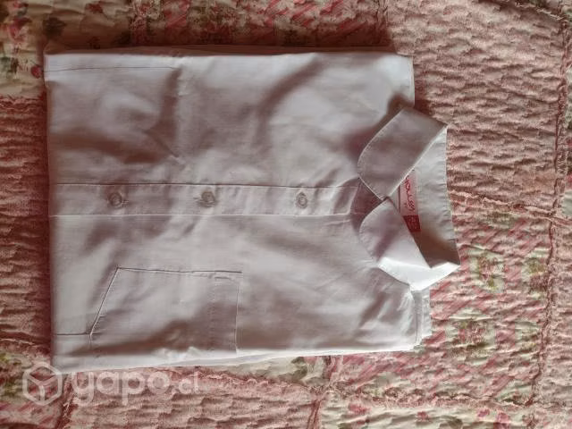 Uniforme Liceo santa Teresita