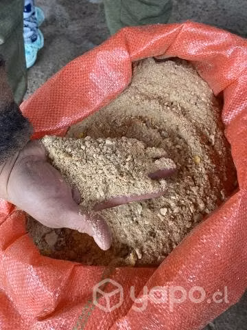 Alimentos para perros - Imagen 2