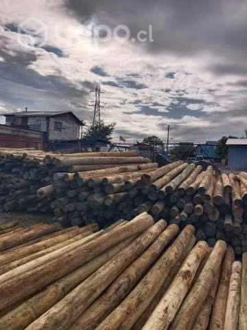 Pilotes para casas prefabricadas, palafitos