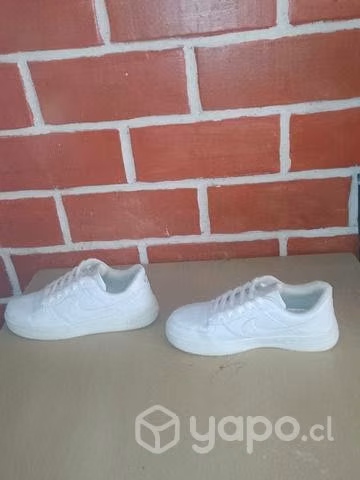 Zapatillas Nike air y Vans