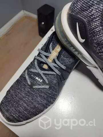 Zapatilla running nike