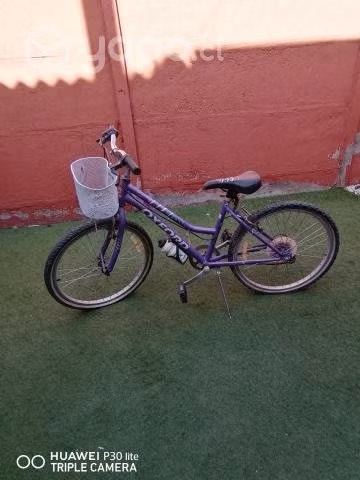 Bicicleta Oxford Aro 24