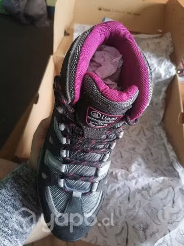 Zapatos Lippi