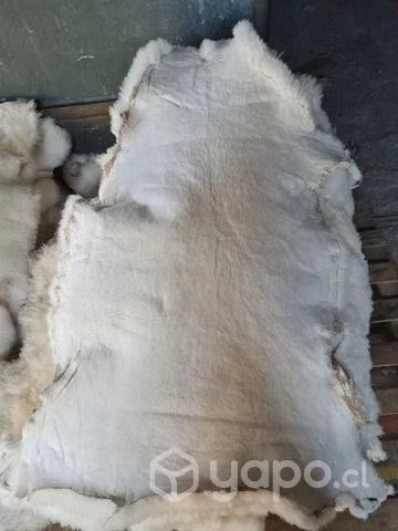 Pieles oveja cuero