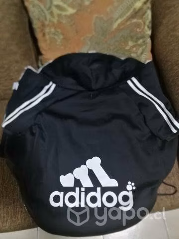 Ropa Perro