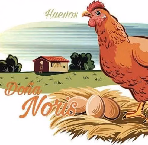 Huevos de campo