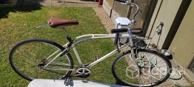 Bicicleta Oxford talla L