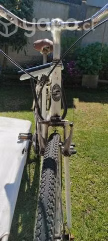 Bicicleta Oxford talla L
