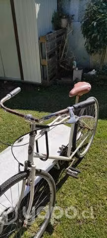 Bicicleta Oxford talla L