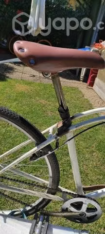Bicicleta Oxford talla L