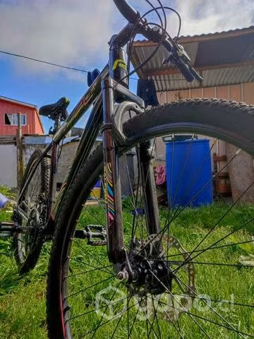 Bicicleta Raleigh