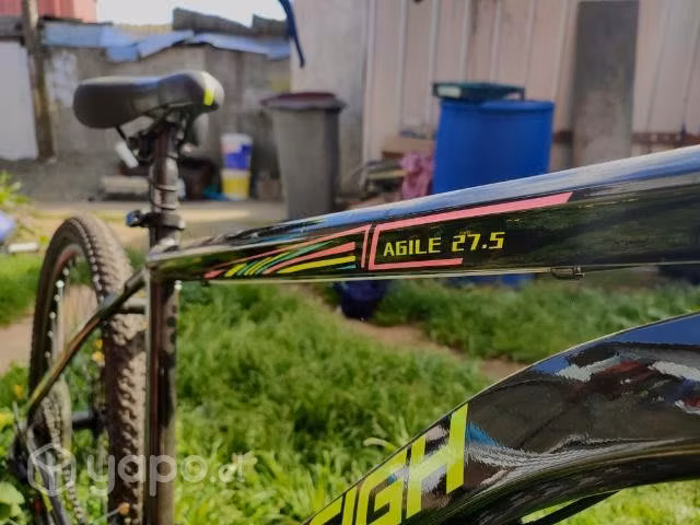 Bicicleta Raleigh