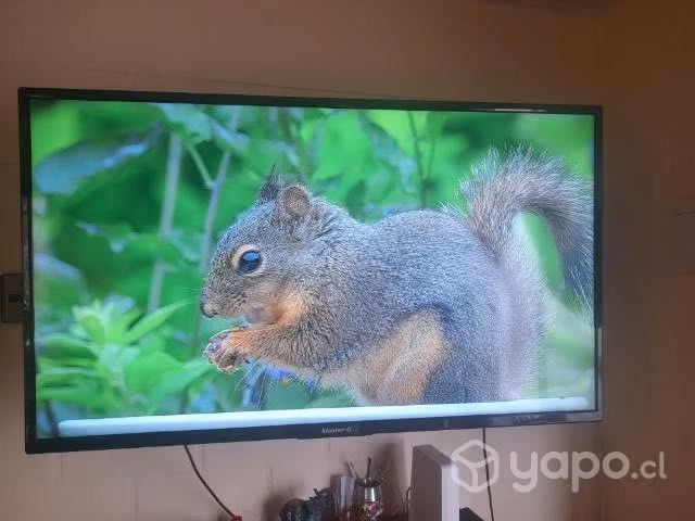Televisor smart tv led full hd máster G 43 pulgada