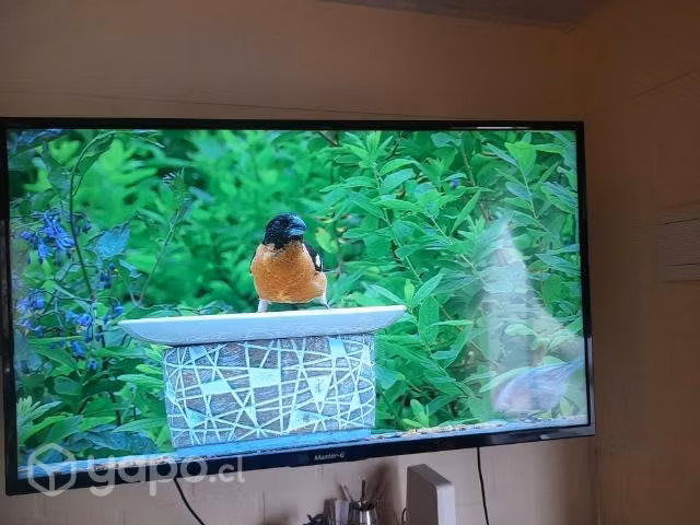 Televisor smart tv led full hd máster G 43 pulgada