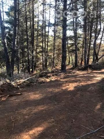 Laguna verde , parcela 5000 metros