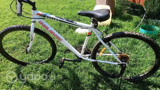 Bicicleta