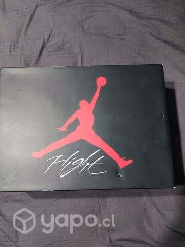 Jordan 4 canyon purple
