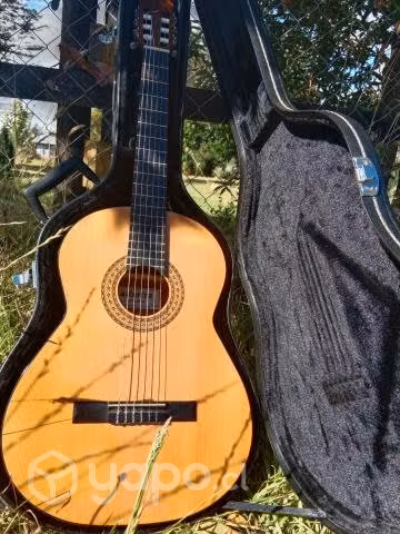 Guitarra clásica admira juanita