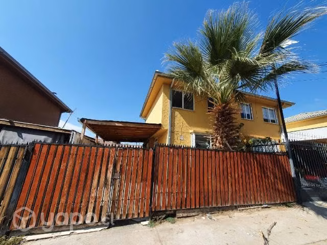 palmera 6 metros
