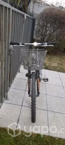 Bicicleta Trek Usada