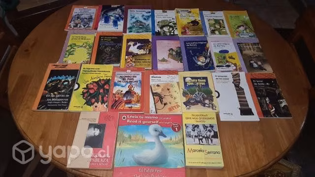 Lote de libros