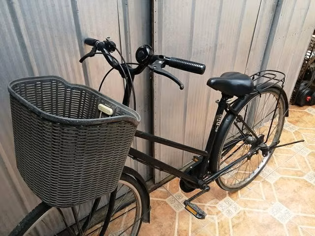 Bicicleta paseo aro 38