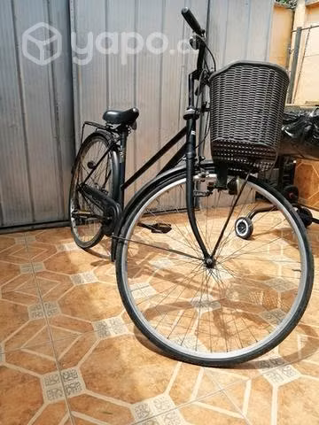 Bicicleta paseo aro 38
