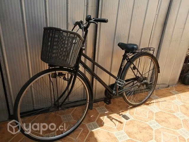 Bicicleta paseo aro 38