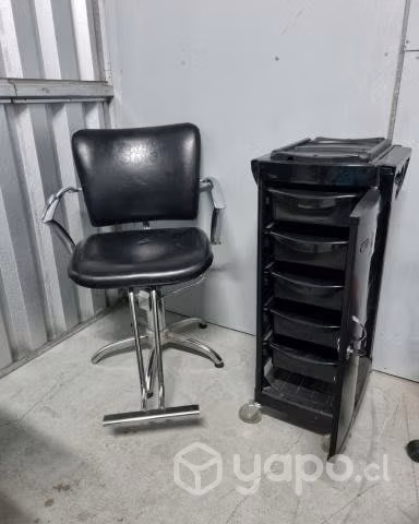 Sillon de Peluqueria y Carro ayudante Pichara