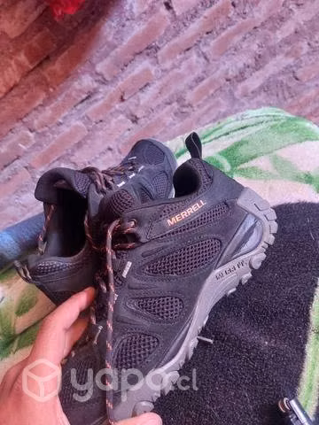 Zapatillas