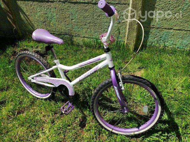 Bicicleta avalanche - Imagen 2