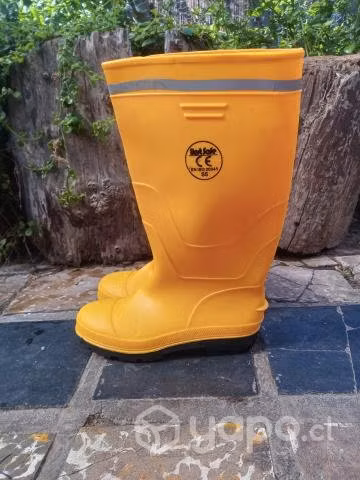 Botas