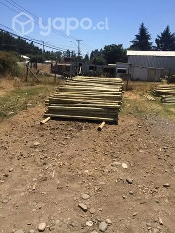 Acuarios varios
