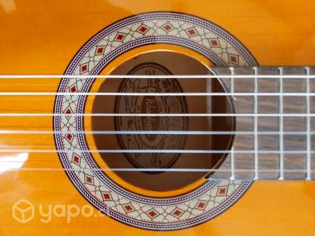 Guitarra clasica - Imagen 5