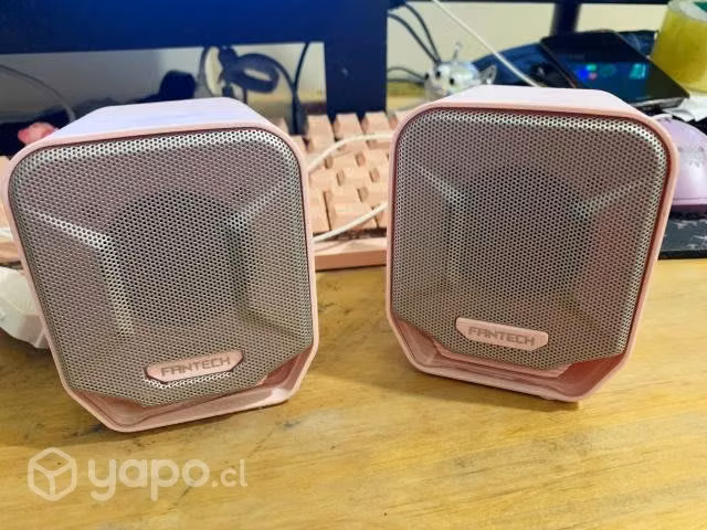 Parlantes Rosados Fintech