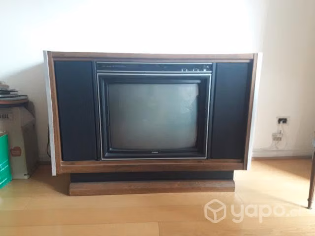 Mueble con tv grande