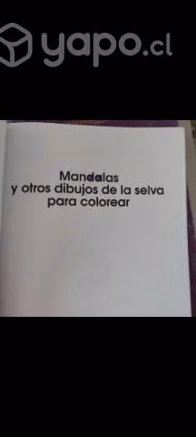 Mandalas para pintar