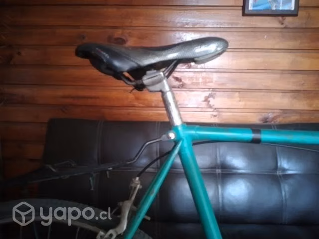 Bicicleta rutera pistera aro 28