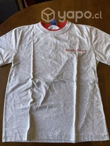 Polera Buzo Colegio Charles Darwin - Imagen 2