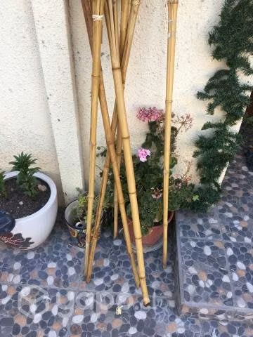 ANTORLLAS de bambu - Imagen 2