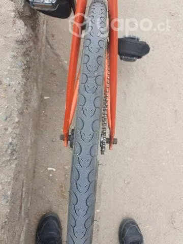 Bicicleta fixie