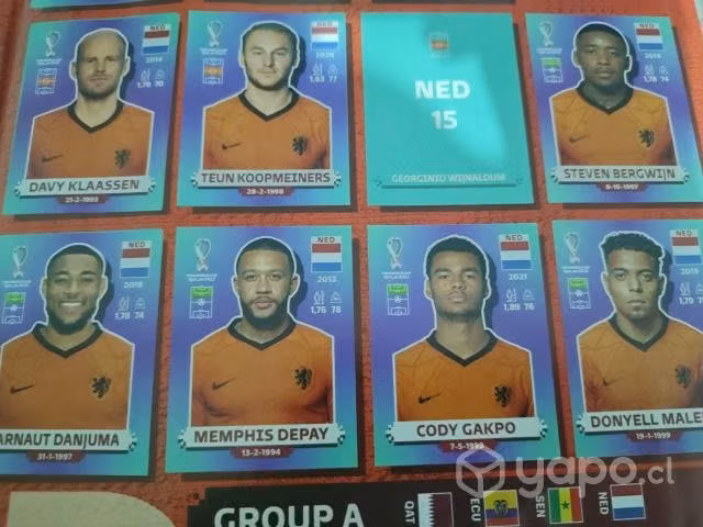 Album qtar 2022 tapa dura más 230 jugadores