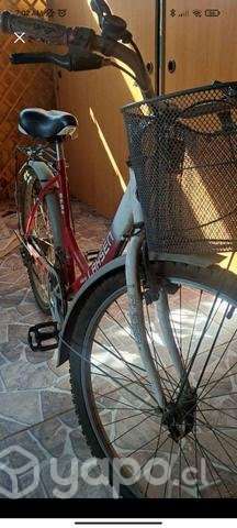 Bicicleta Lahsen - Imagen 2