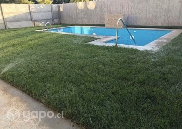 Ins. pasto alto tráfico y bajo mantenimiento temuc