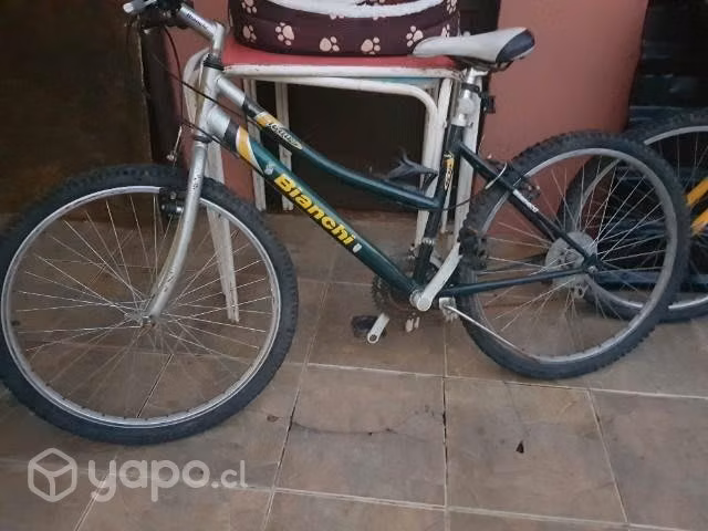 Bicicleta