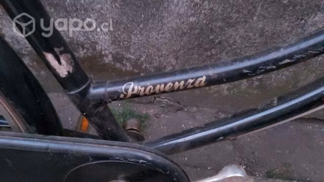 Biciclrta de paseo