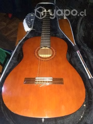 Guitarra electroacustica - Imagen 2